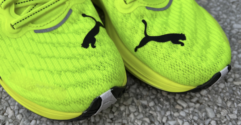 puma_3